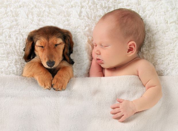 Baby mit Haustier