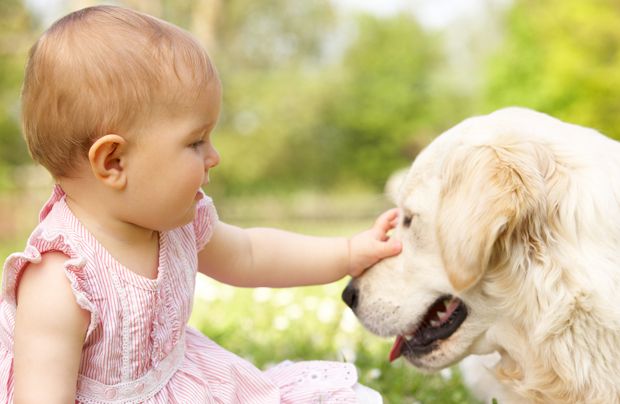 Baby mit Hund Baby mit Hund