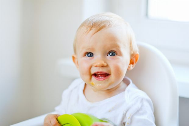 Baby Beikost