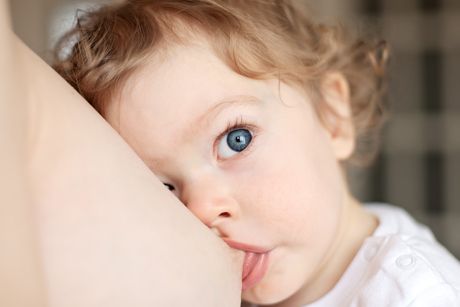 Wie lange sollte ich mein Baby stillen?