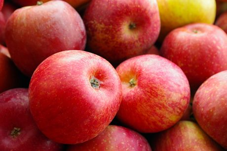 Die 10 besten Cholesterinsenker