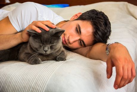 Toxoplasmose