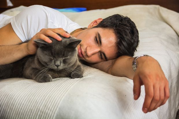 Toxoplasmose Toxoplasmose