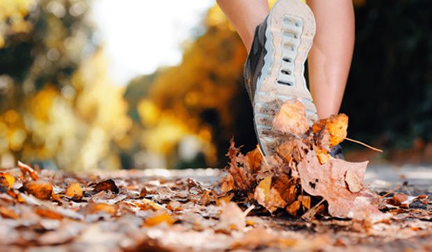 Richtig laufen im Herbst Richtig laufen im Herbst