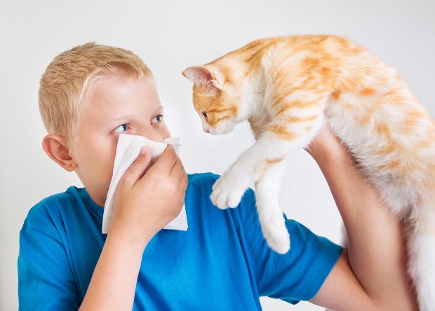 Tierhaarallergie