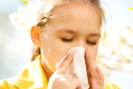 Allergien bei Babys und Kindern