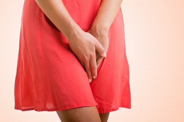 Vagina Frau Vagina Frau