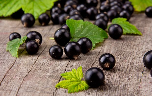 Johannisbeeren