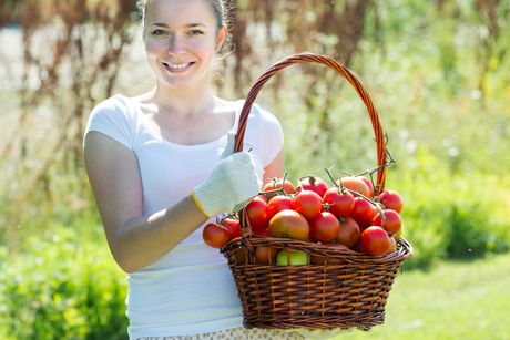 Clean Eating: Wohlbefinden durch gesunde Ernährung