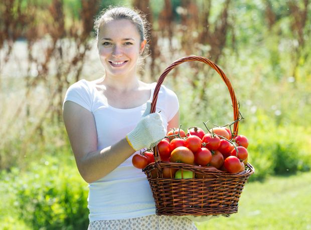 Clean Eating Ernährungstrend