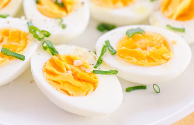 Eier