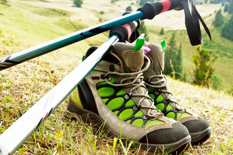 Wandern: Tipps für gesunden Wandergenuss