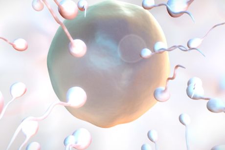 Neun interessante Fakten über Sperma