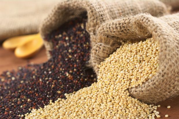 Quinoa