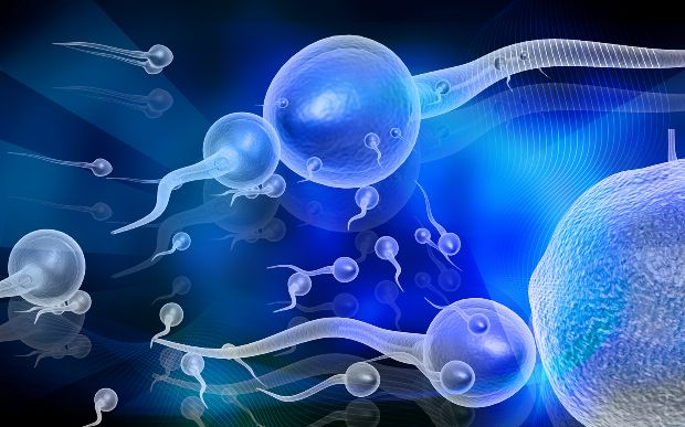 Sperma