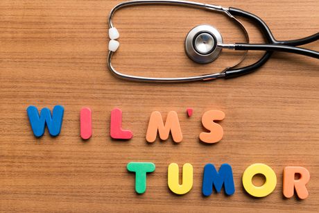 Wilms-Tumor