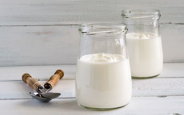 Joghurt