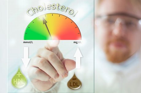 Cholesterin - Cholesterinwerte