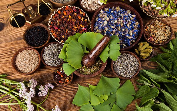 Phytotherapie
