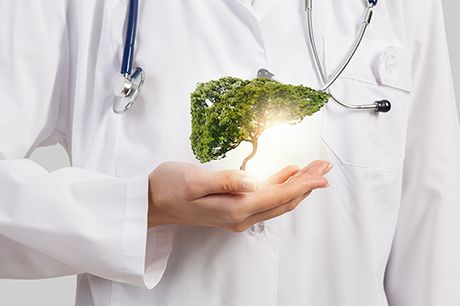 Gesunde Leber: Tipps und Hausmittel, um die Leber zu entgiften und zu stärken