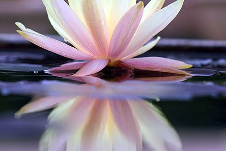 Meditation heilt - schmerzfrei in ein neues Leben