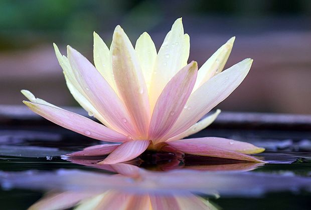 Meditation gegen Schmerzen
