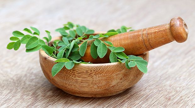 Moringa Moringa