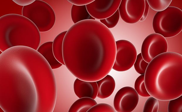 Der rote Blutfarbstoff Hämoglobin ist für die Farbe der roten Blutkörperchen zuständig.