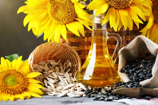 sonnenblumenkerne und öl