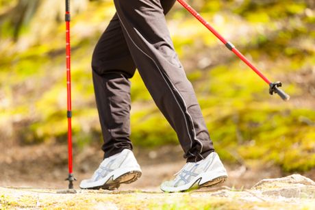 Nordic Walking: Gesundes Ganzkörpertraining