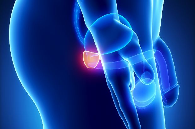 Die Prostata ist durch den Anus zu erreichen, sie befindet sich ca. 3-5 cm hinter dem Darmausgang.