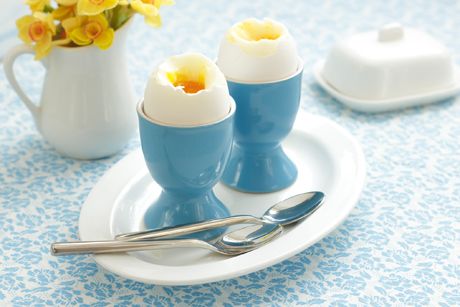 Eier erhöhen den Cholesterinspiegel?