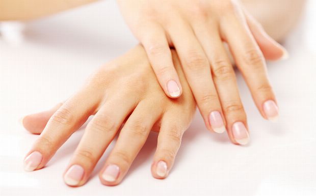 Handverjüngung