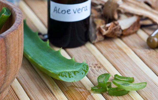 Aloe Vera gegen Dornwarzen Aloe Vera gegen Dornwarzen