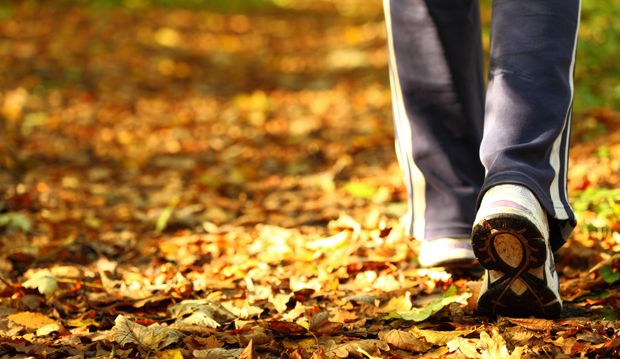 Fitnesssucht Fitnesssucht