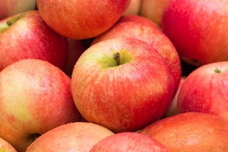 Gesunder Apfel: Kalorien, Nährwerte, Anwendung und Wirkung - Heilpflanze