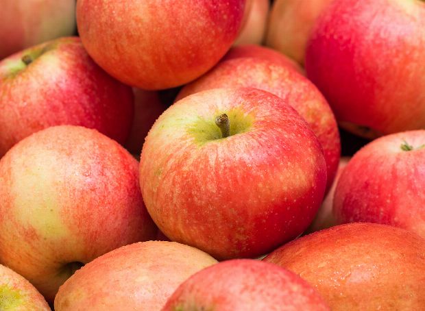 Apfel als Heilpflanze