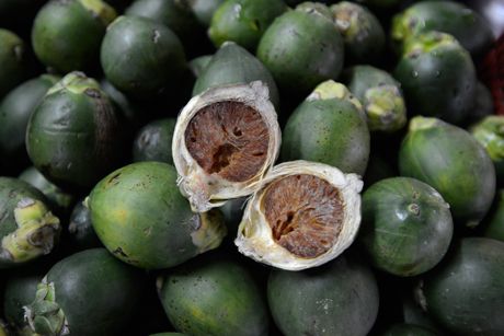 Betelnuss als Heilpflanze: Inhaltsstoffe, Wirkung und Anwendung