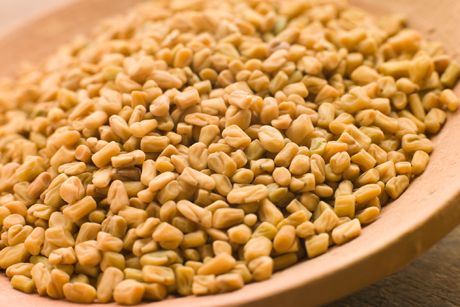 Bockshornklee als Heilpflanze