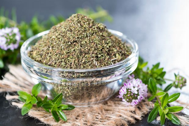 Bohnenkraut als Heilpflanze