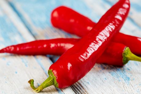 Chili: gesunde Heilpflanze mit scharfer Note