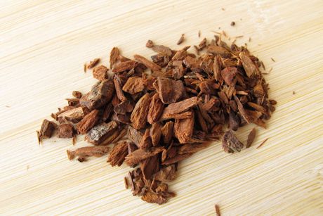 Chinarinde als Heilpflanze