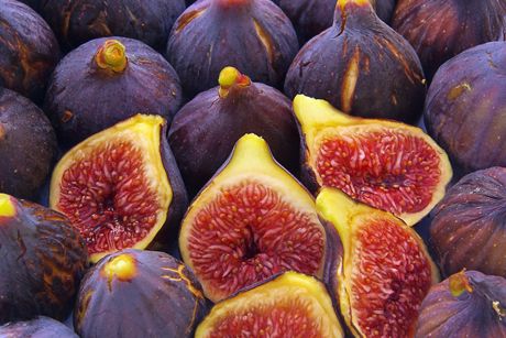 Feige als Heilpflanze