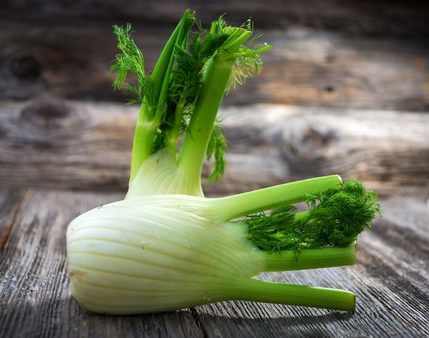 Heilpflanze Fenchel Heilpflanze Fenchel