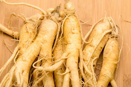Ginseng als Heilpflanze