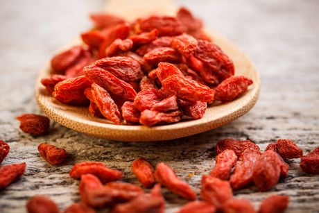 Goji als Heilpflanze