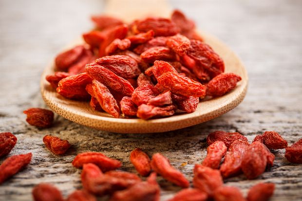 Goji als Heilpflanze