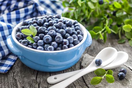 Heidelbeere als Heilpflanze