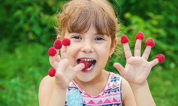 Himbeeren sind sehr gesund und schmecken zudem noch so richtig gut.