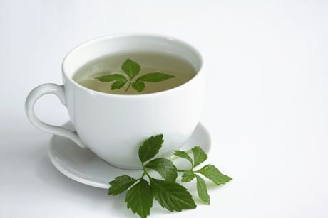 Jiaogulan als Heilpflanze